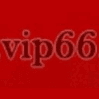 Vip 66